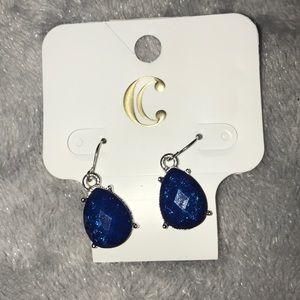 Blue Earrings